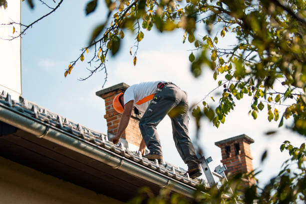 Best Roof Maintenance and Cleaning  in Petersburg, AK